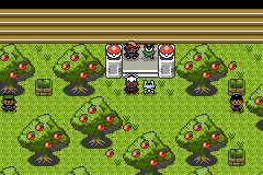 Guía de Pokémon Lazarus en Español gym 1